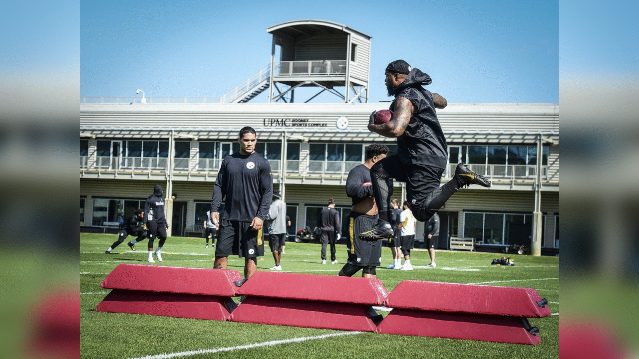 Fitzgerald Toussaint and James Conner