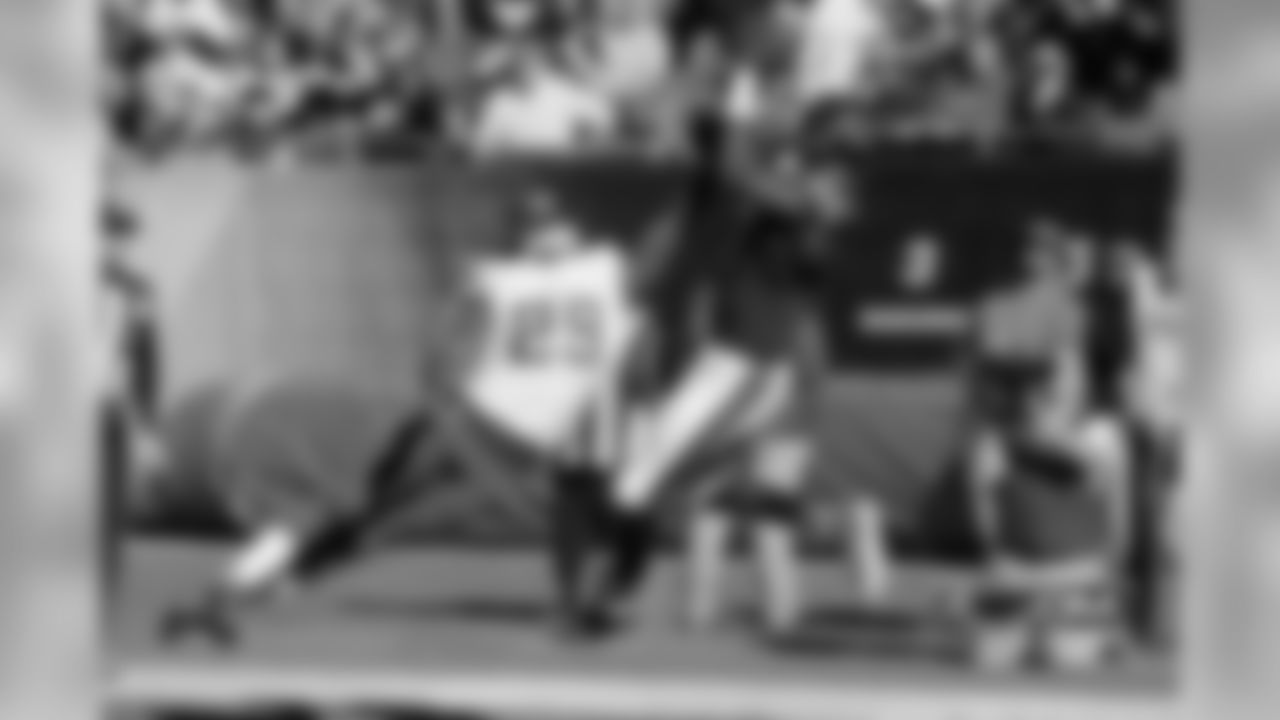 Minnesota Vikings - Last meeting in Chicago: November 1st, 2015 - Bears 20 - Vikings 23