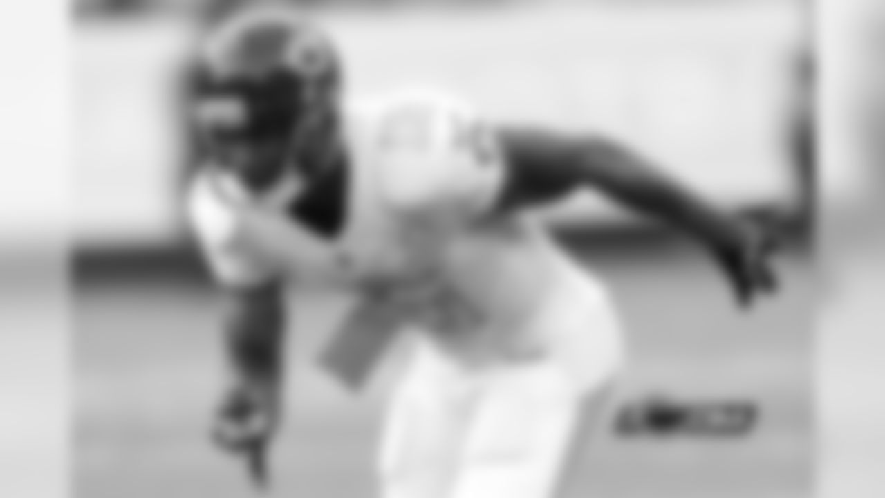 WR Brandon Marshall
(Photo from 2014 Pro Bowl)