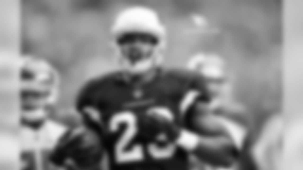 Adrian Peterson's 27-yard TD run vs. the Bucs