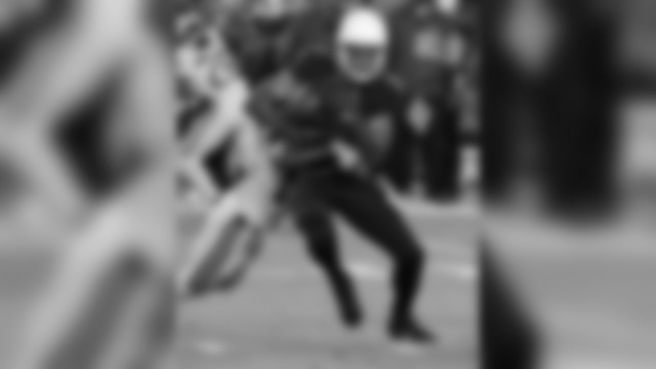 WR Larry Fitzgerald on the catch