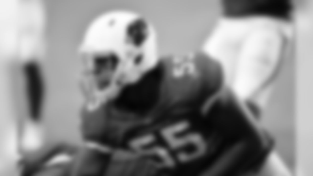 OLB Chandler Jones