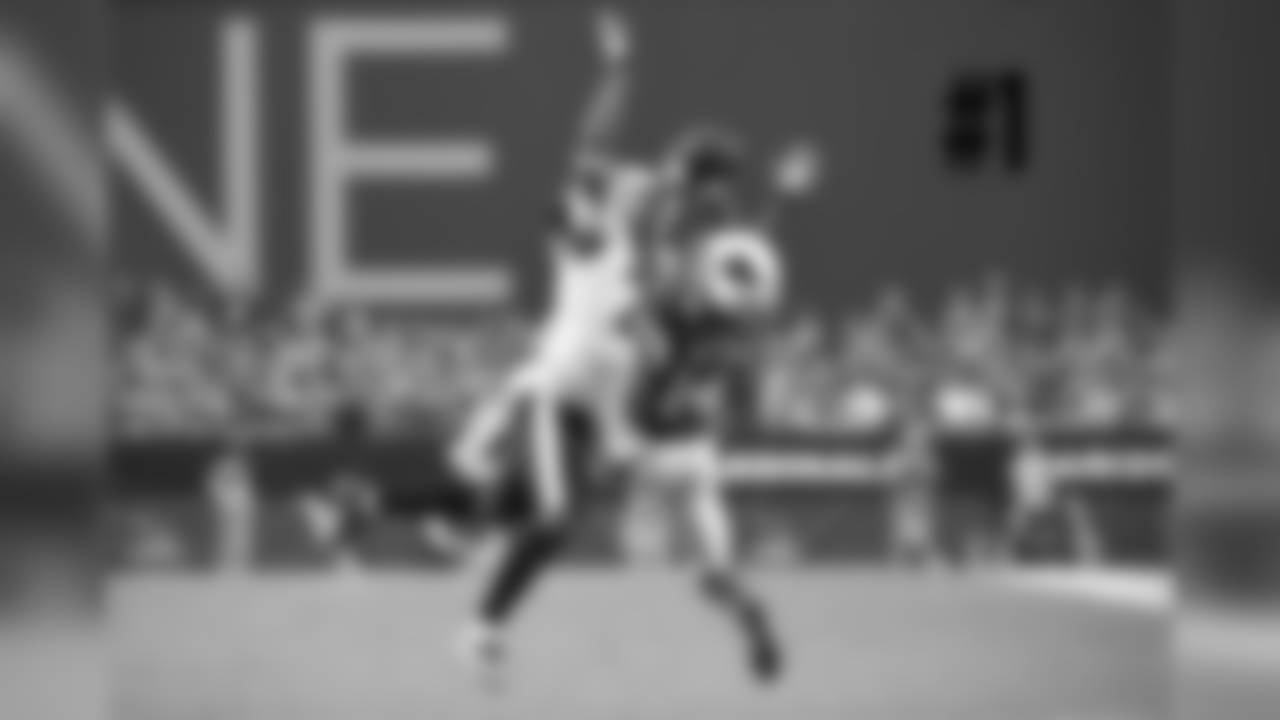 WR J.J. Nelson makes a great catch