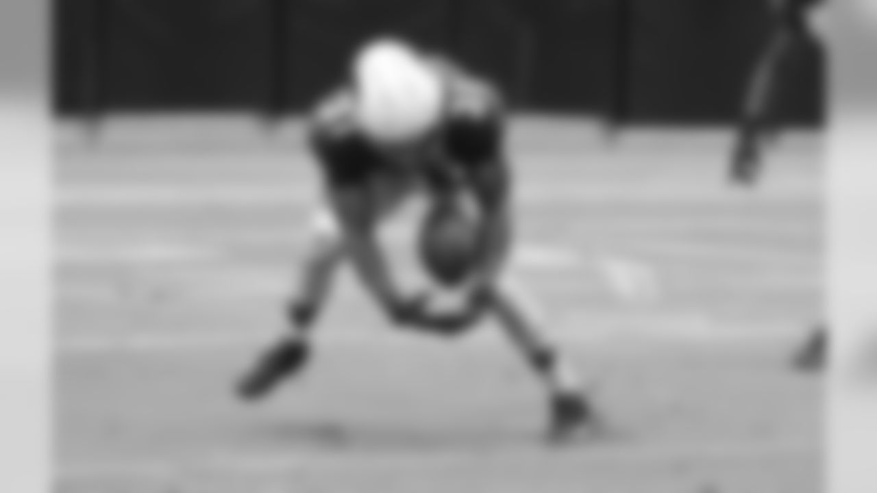 RB David Johnson makes the catch