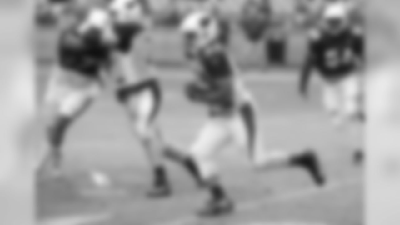 RB David Johnson