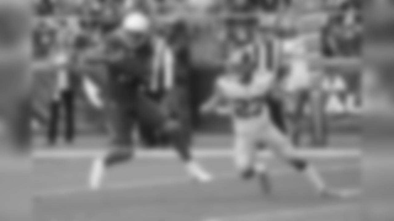WR Larry Fitzgerald
