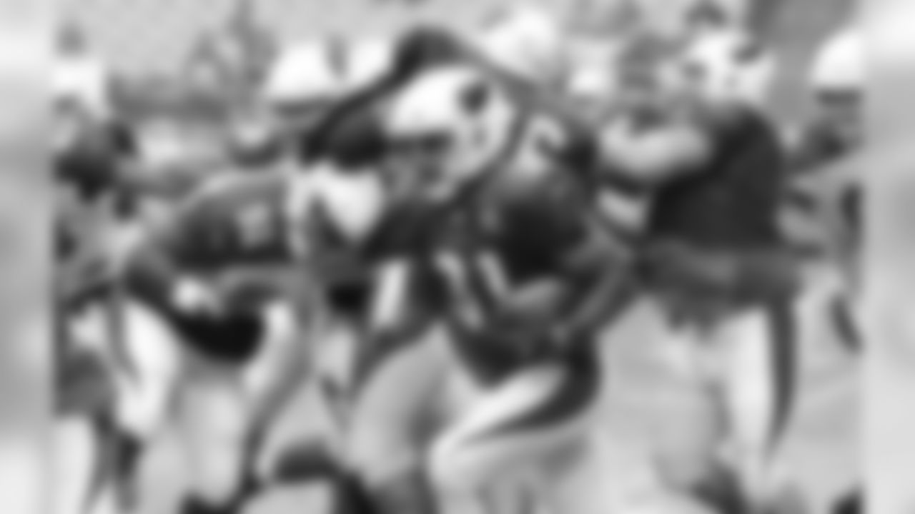 RB David Johnson