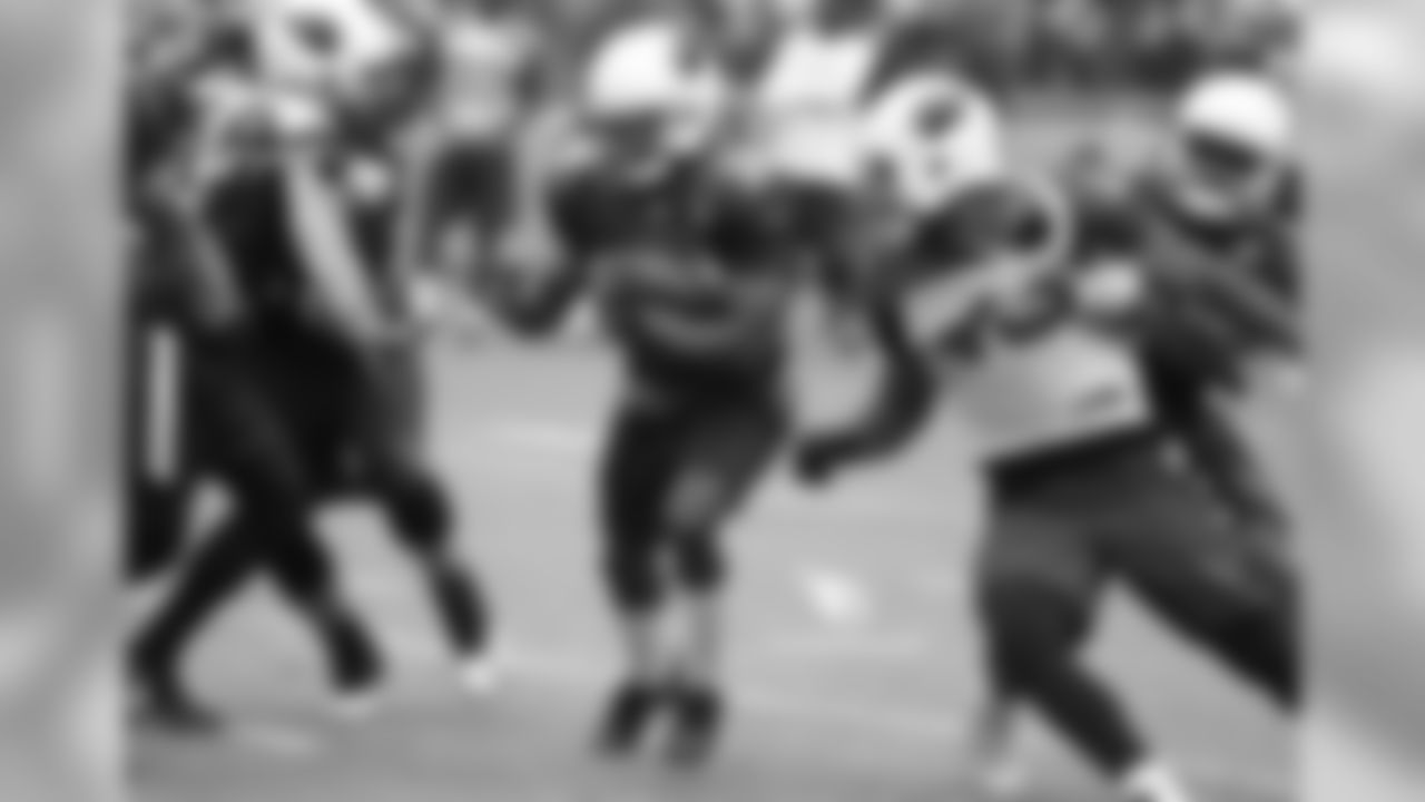 Day 14: RB Andre Ellington carries the ball