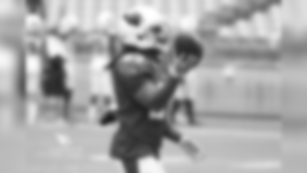 RB Chris Johnson