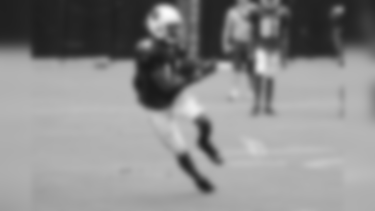 WR J.J. Nelson