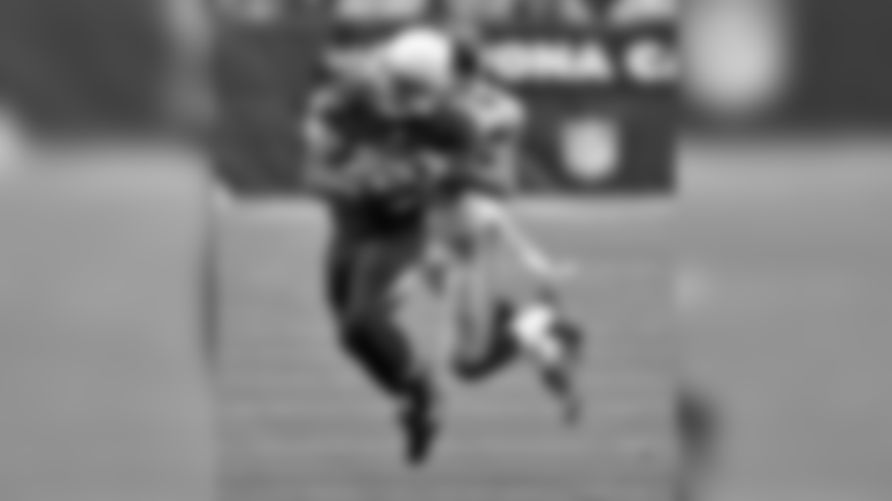 Cardinals RB Kerwynn Williams on the carry