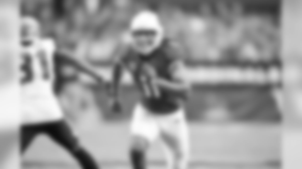 WR Larry Fitzgerald