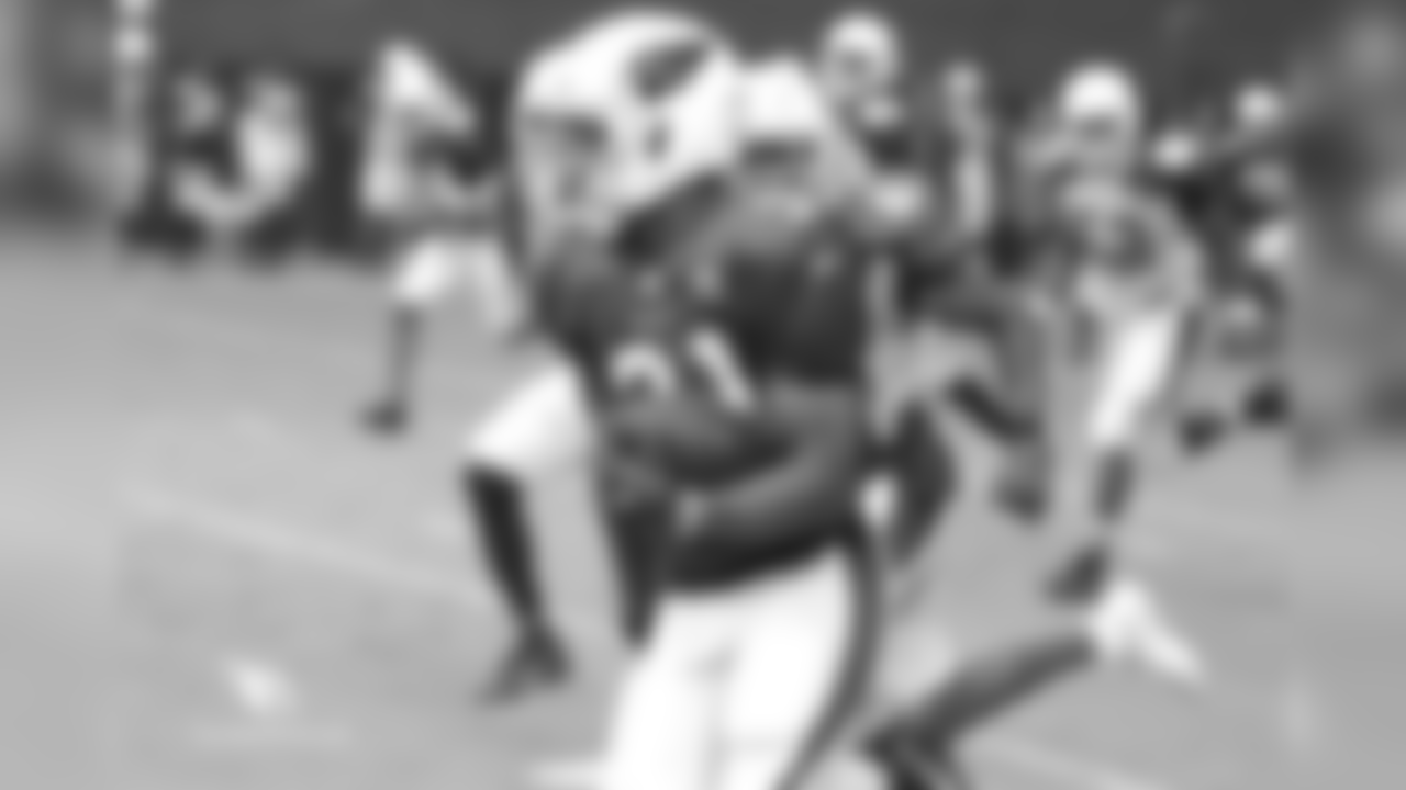 RB David Johnson breaks loose for a long gain