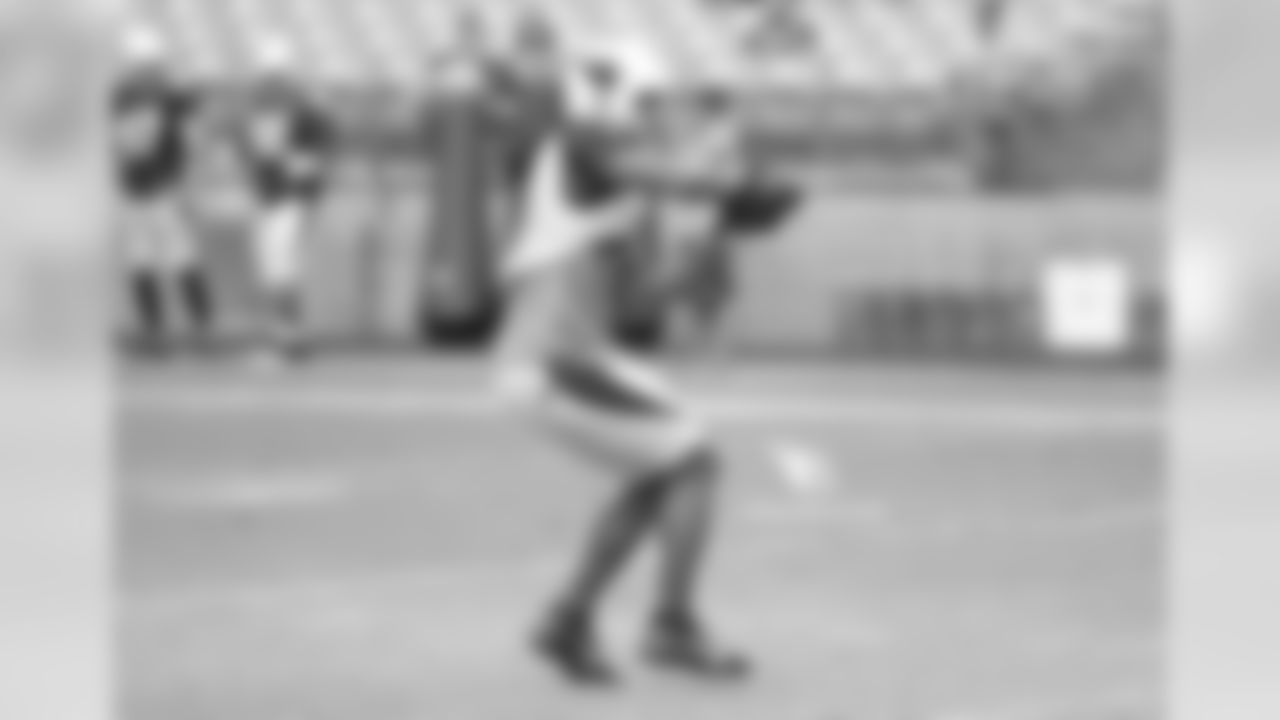 WR Larry Fitzgerald