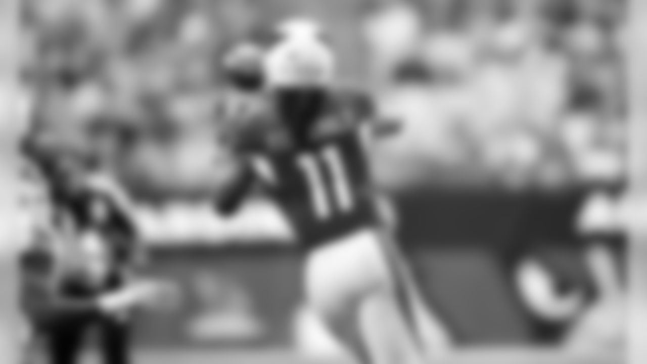 WR Larry Fitzgerald
