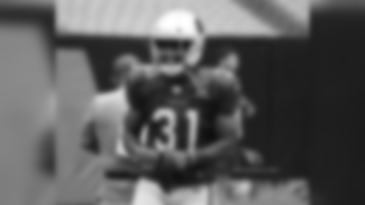 RB David Johnson