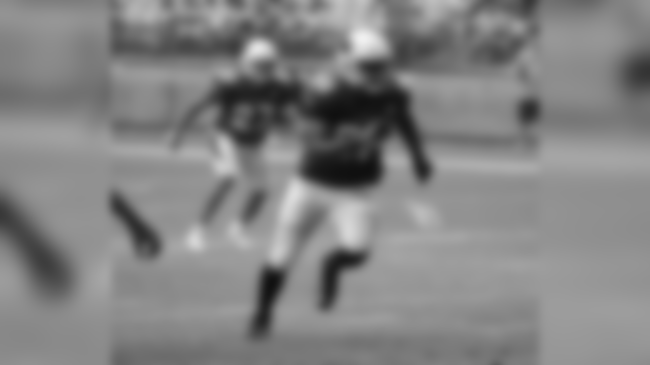 LB Karlos Dansby