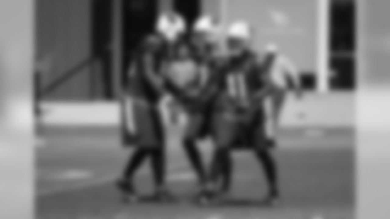 LB Karlos Dansby (left) congratulates teammates CB Justin Bethel (middle) and S Antoine Bethea