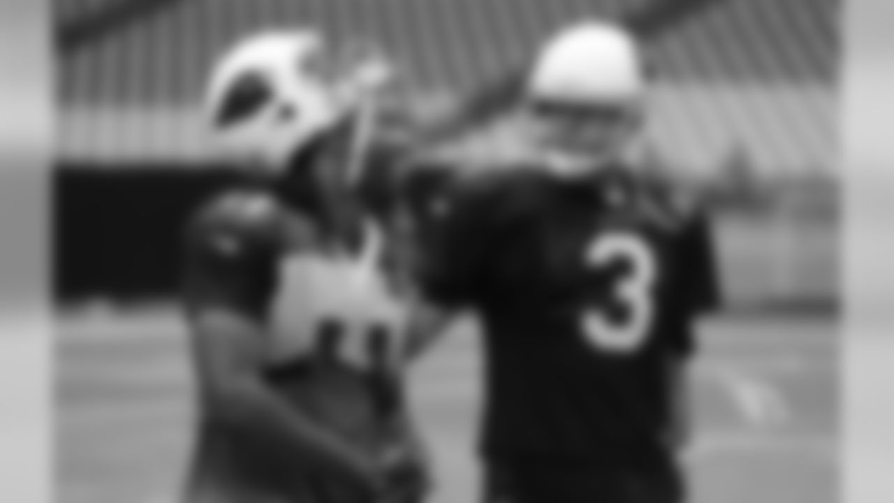 WR Larry Fitzgerald and QB Carson Palmer