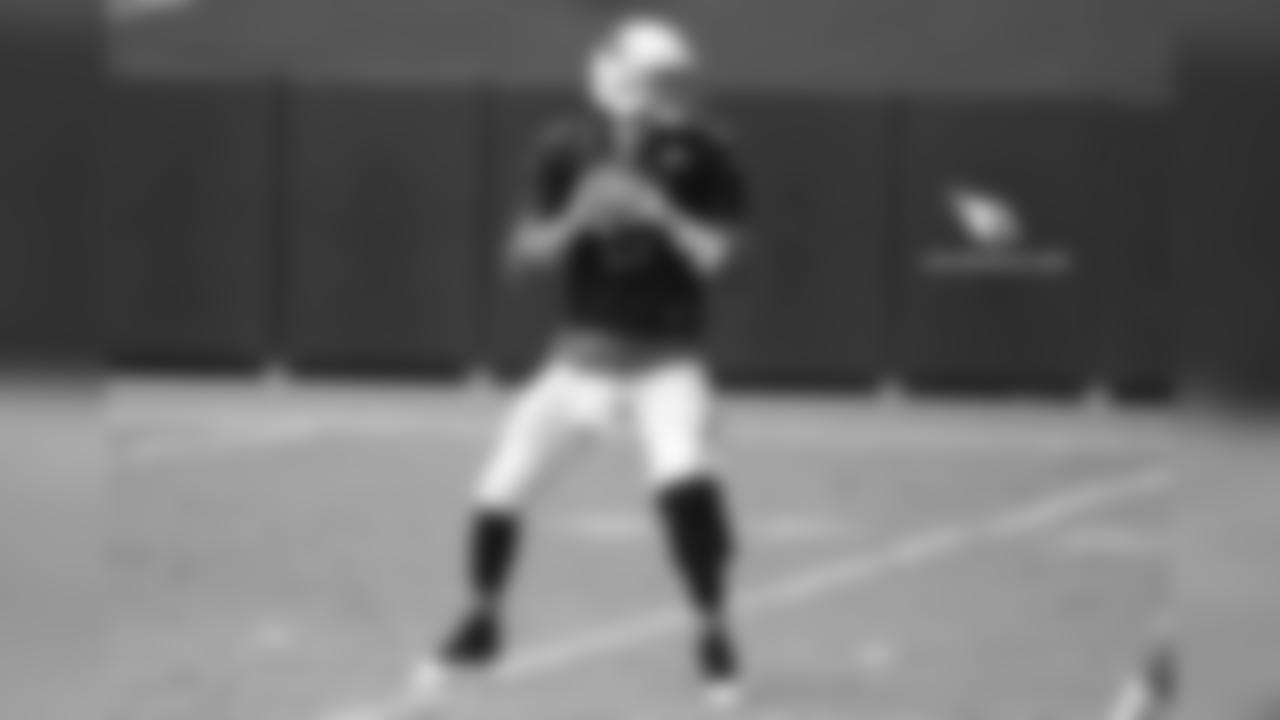 QB Carson Palmer