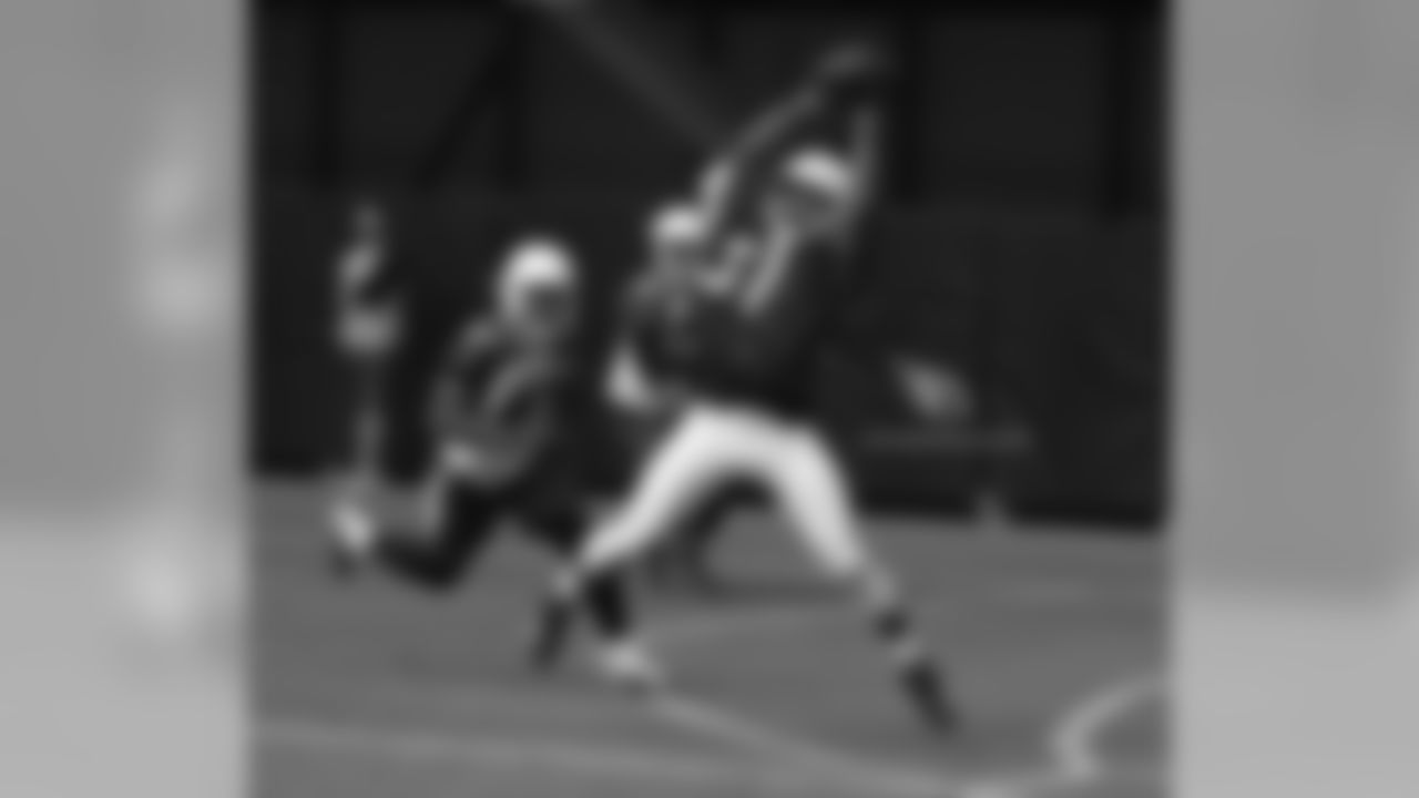 Day 2: RB David Johnson with the catch