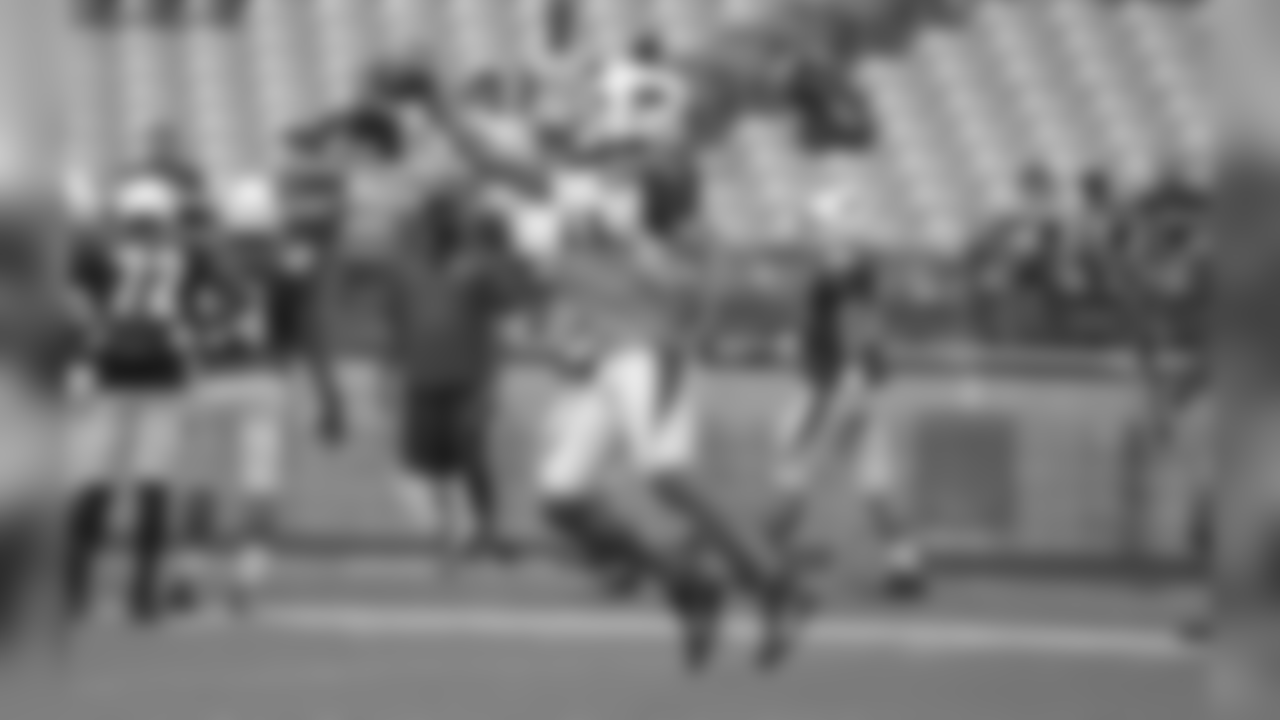 WR Larry Fitzgerald