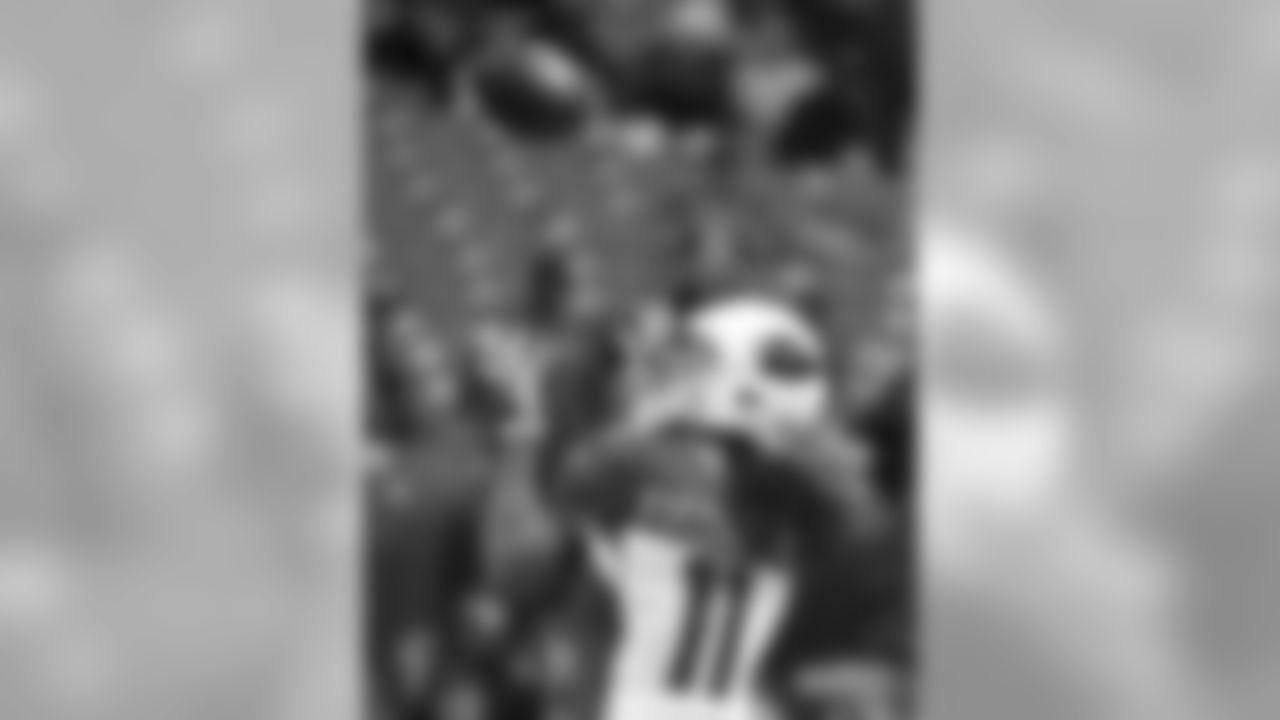 WR Larry Fitzgerald