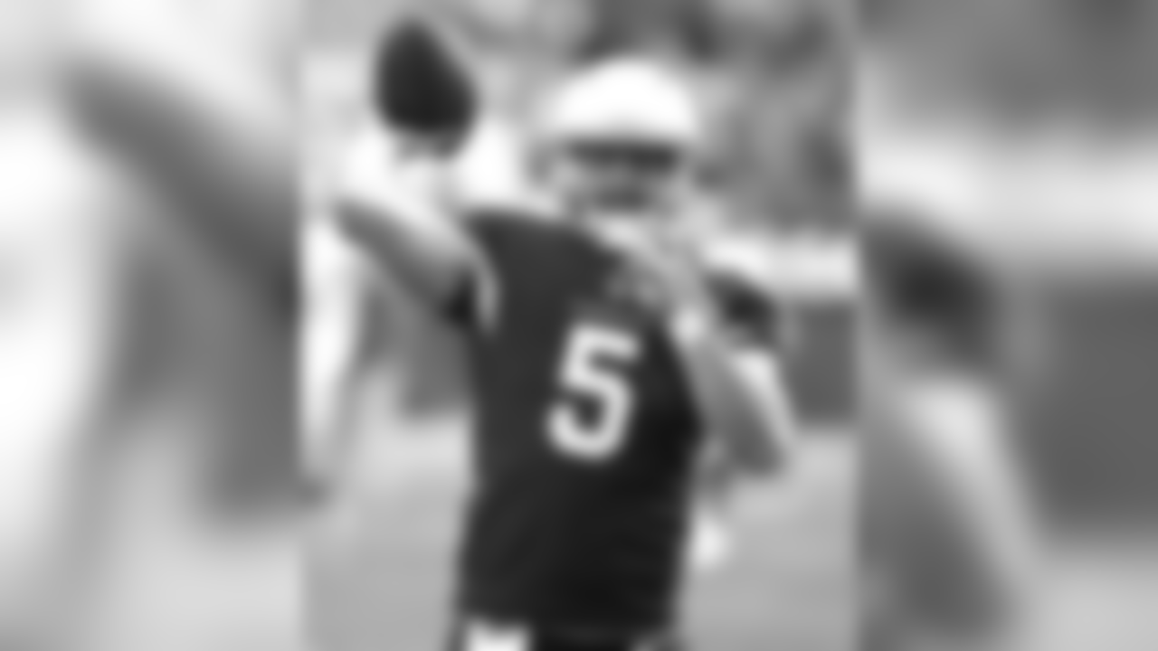 Cardinals QB Drew Stanton