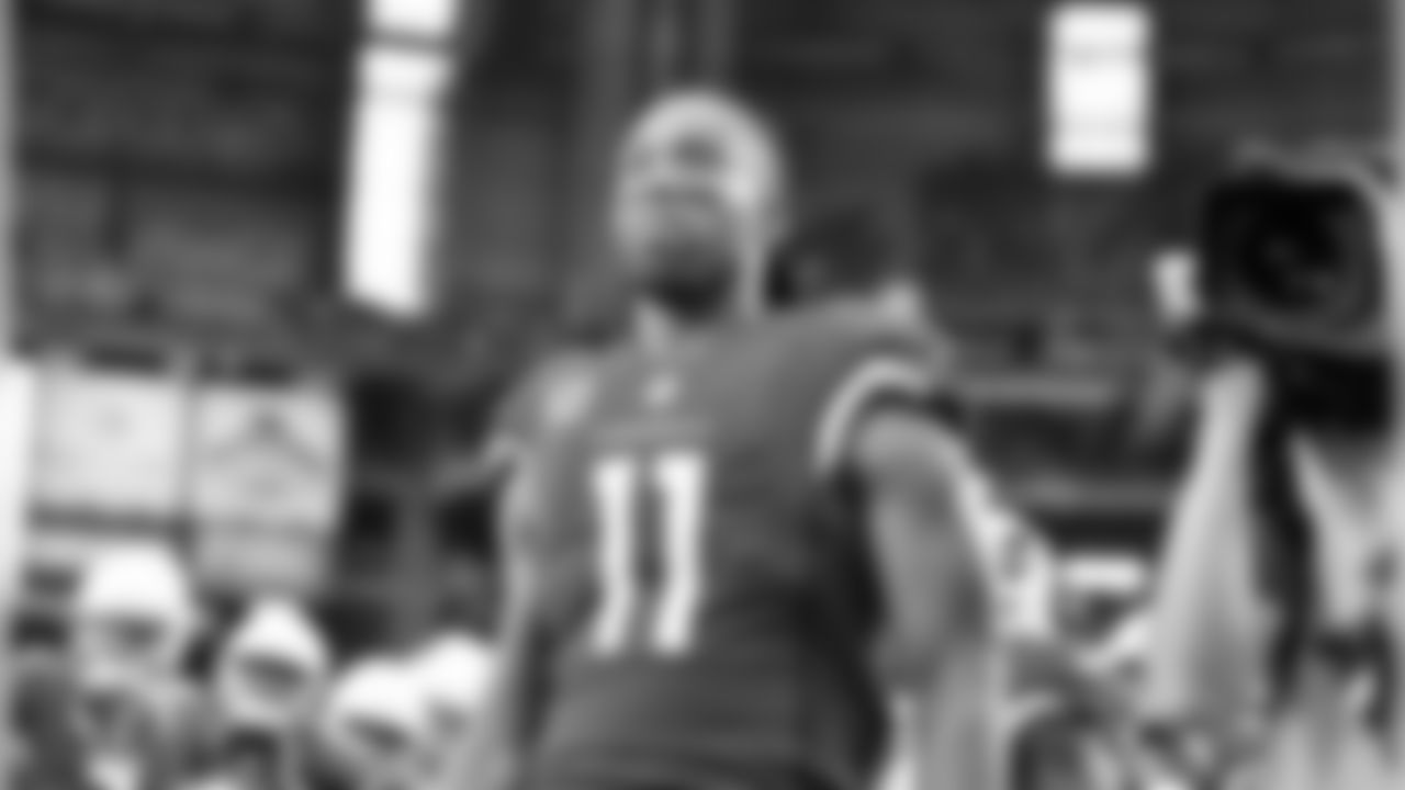 WR Larry Fitzgerald