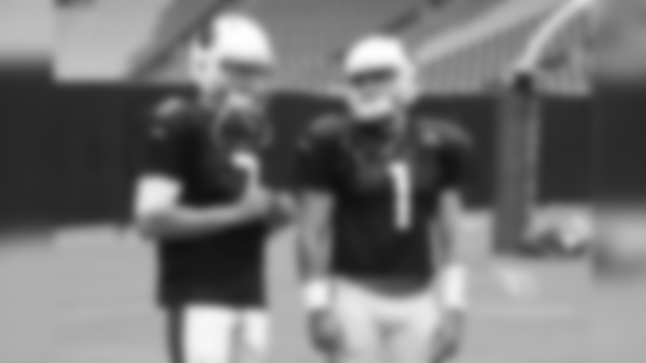 QBs Blaine Gabbert and Trevor Knight