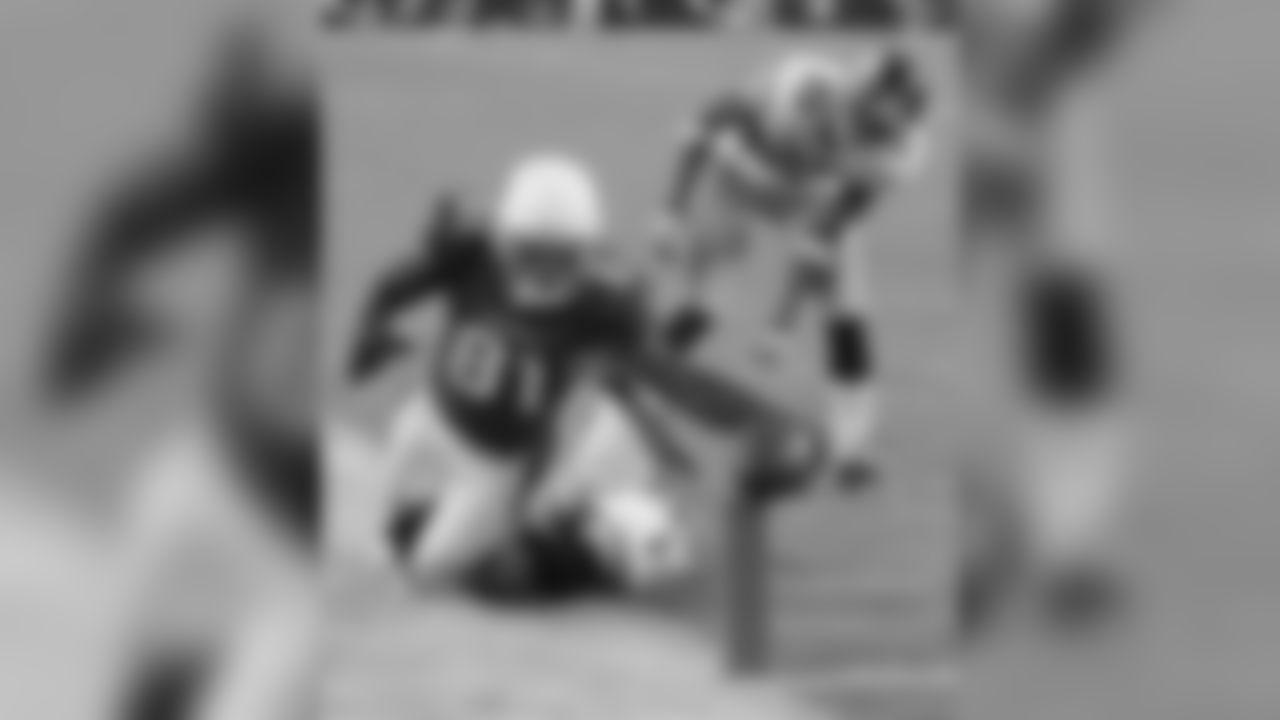 WR Anquan Boldin stretches for the pylon in 2008