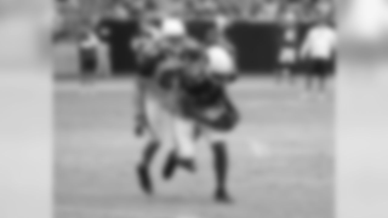 WR Larry Fitzgerald