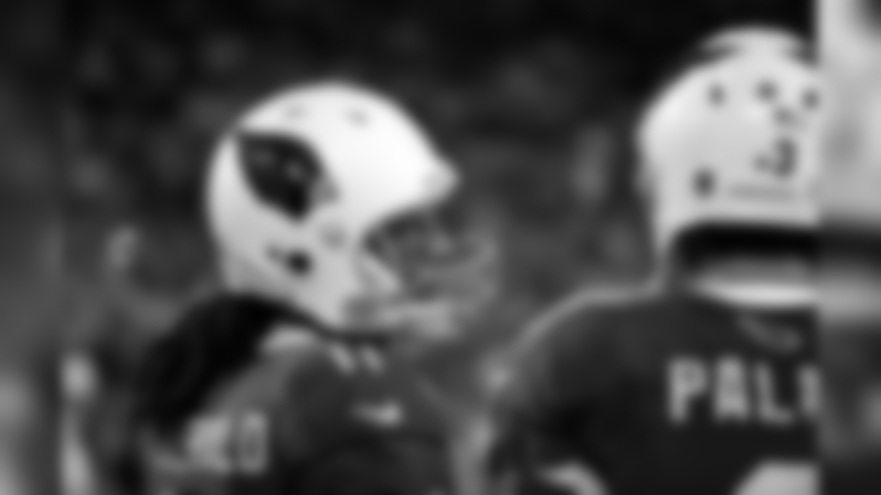 Palmer and Fitz in the 2015 NFC Championship game