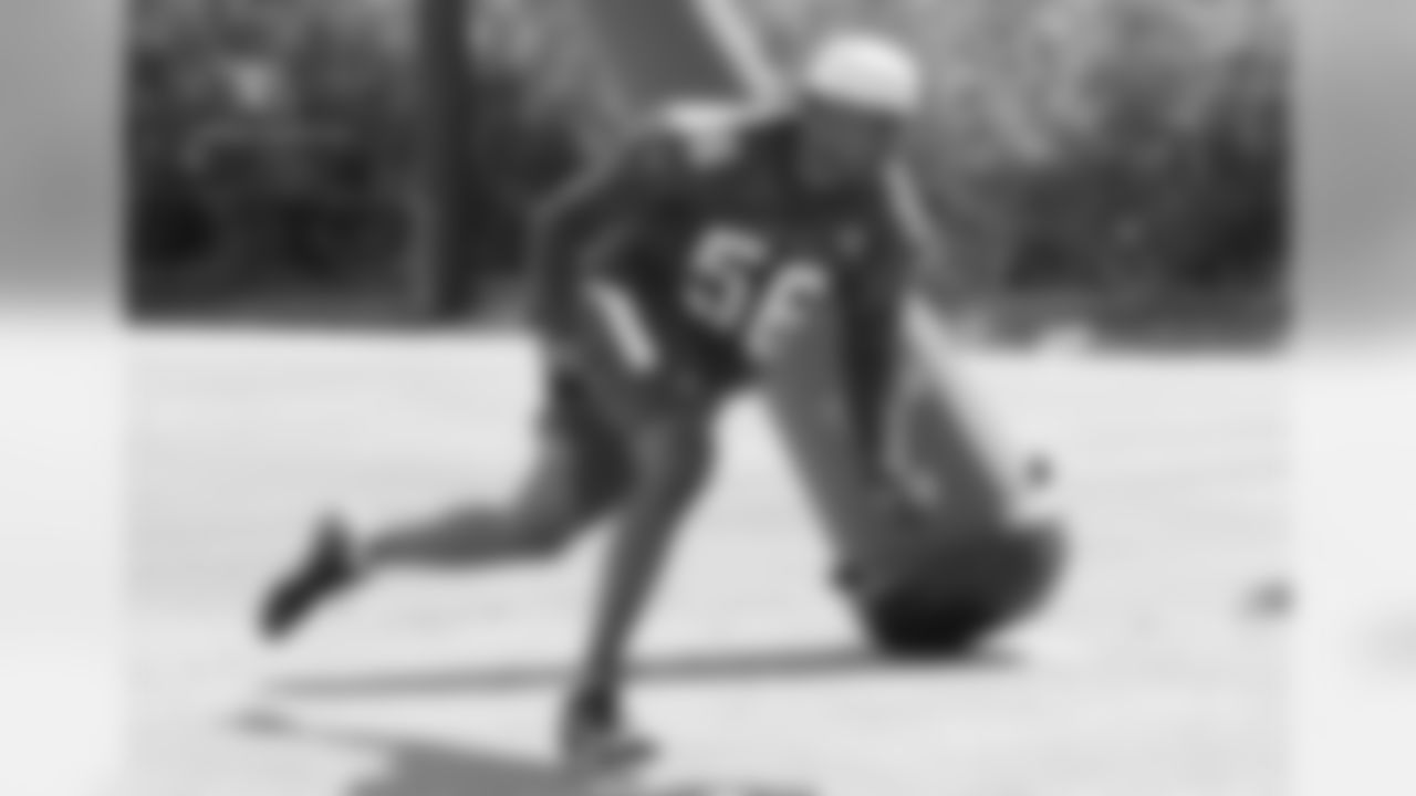 LB Karlos Dansby