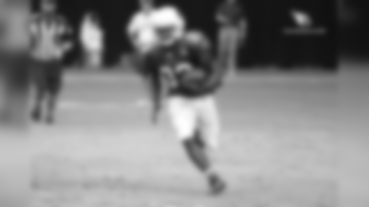 RB Kerwynn Williams