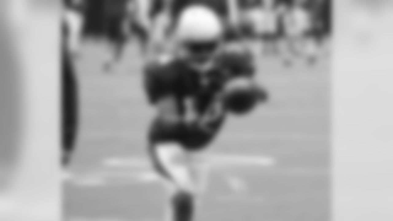 WR J.J. Nelson
