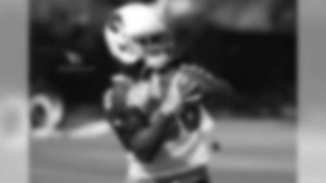 RB Andre Ellington