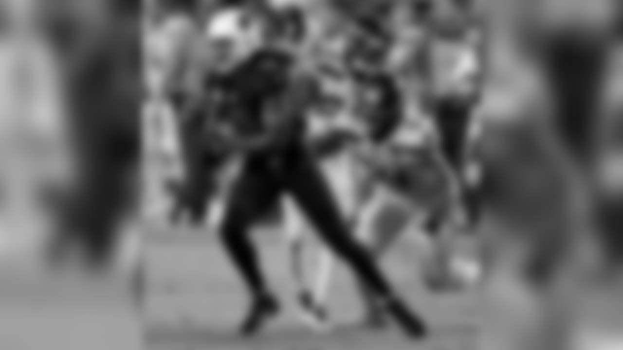 WR Larry Fitzgerald with the catch