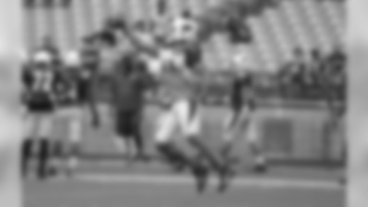 Day 19: WR Larry Fitzgerald with the one-handed catch