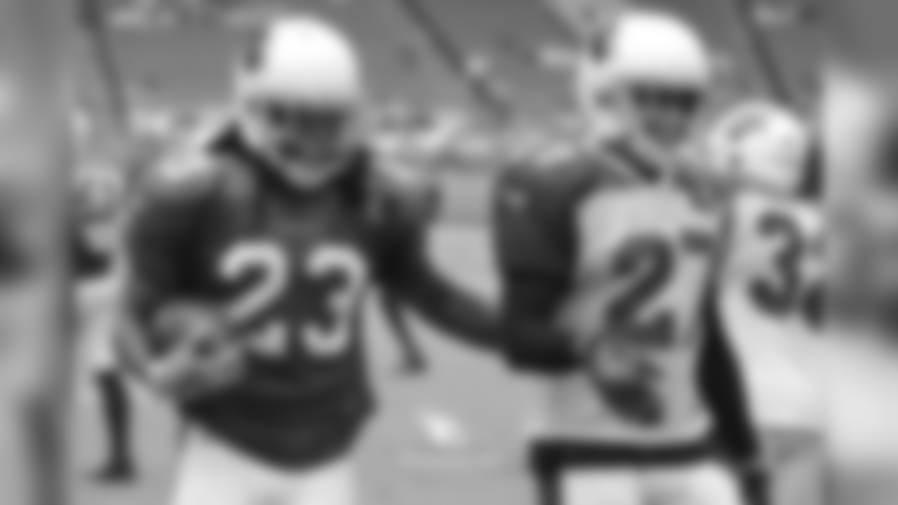 RB Chris Johnson (left) and S Tyvon Branch