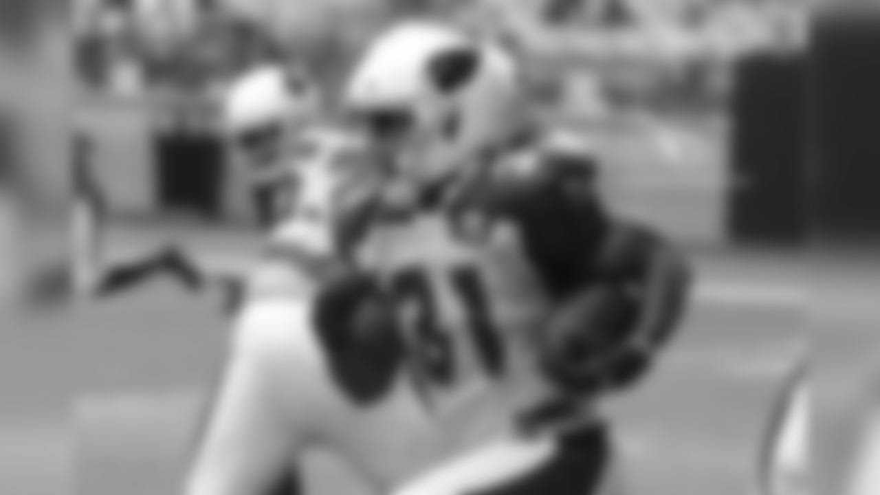 RB David Johnson
