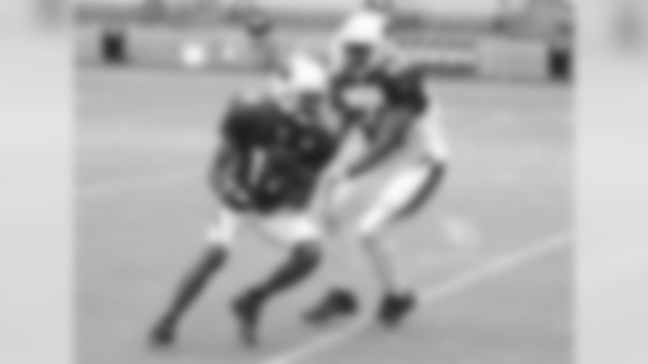 WR J.J. Nelson