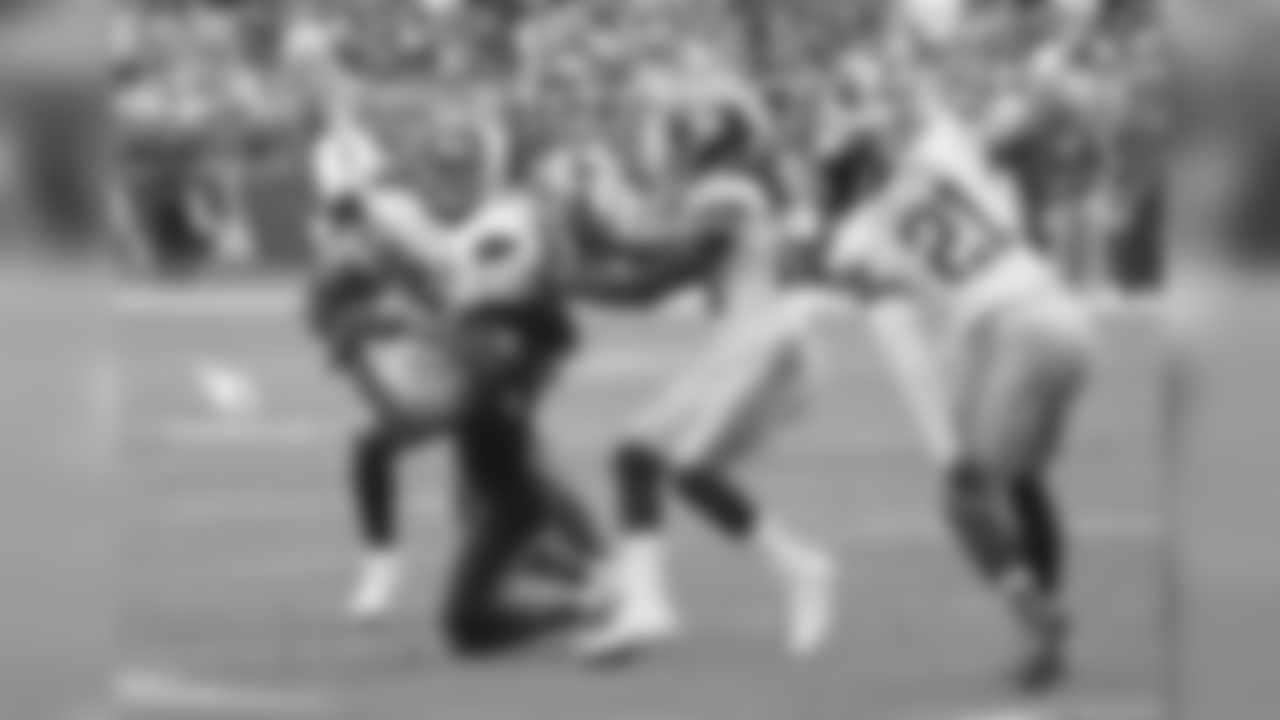 WR Larry Fitzgerald