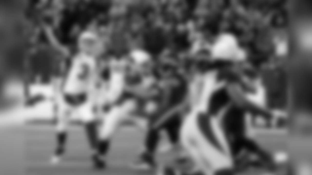 Palmer looks for Fitz in Seattle this season