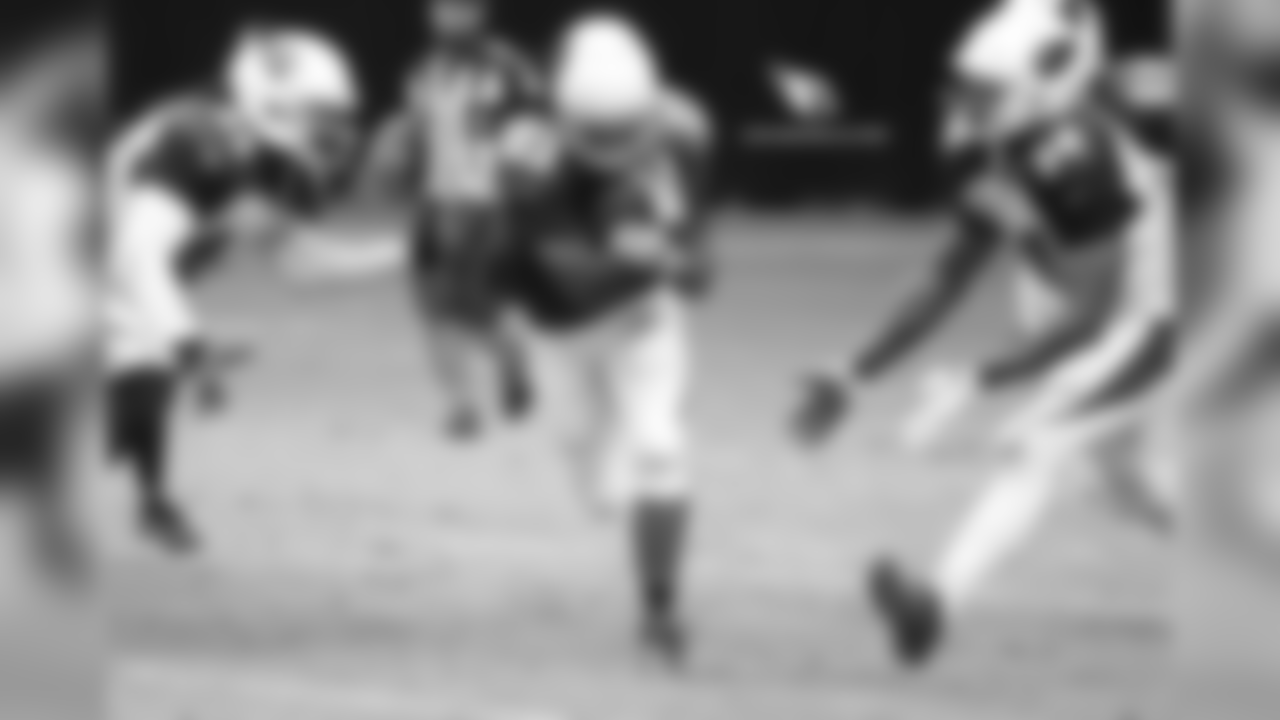 RB Chris Johnson finds a hole