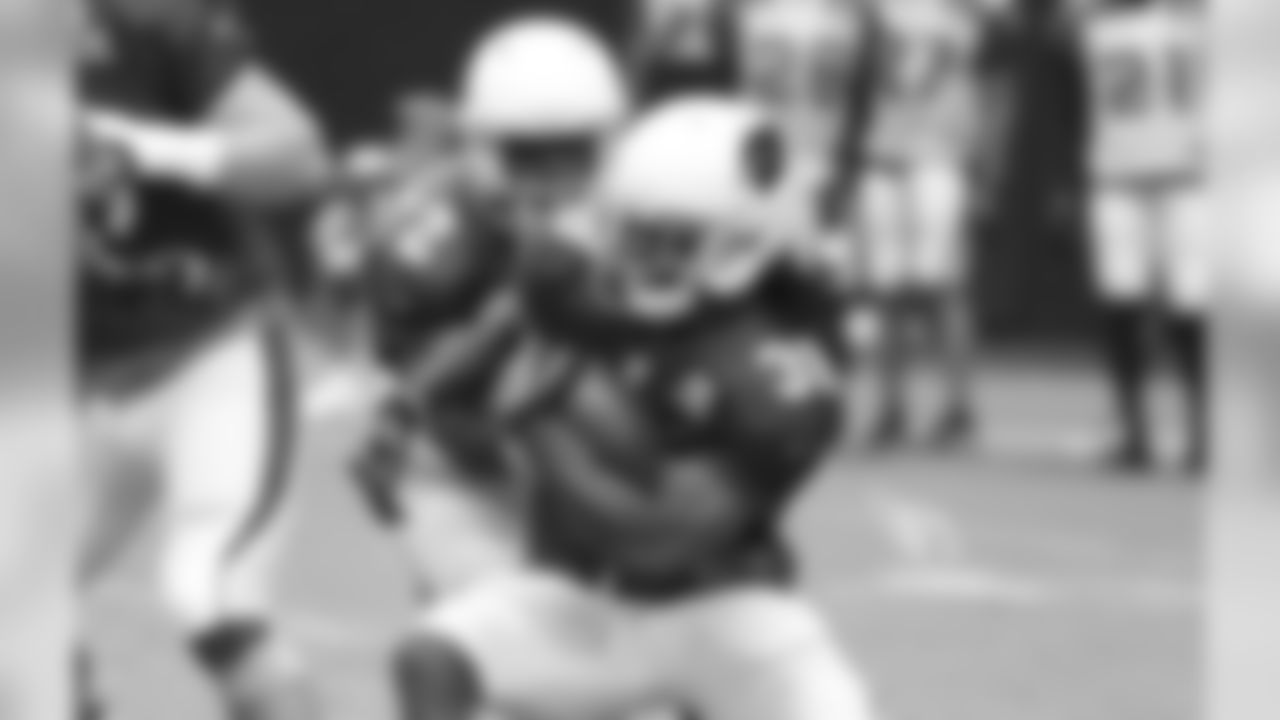 RB Andre Ellington