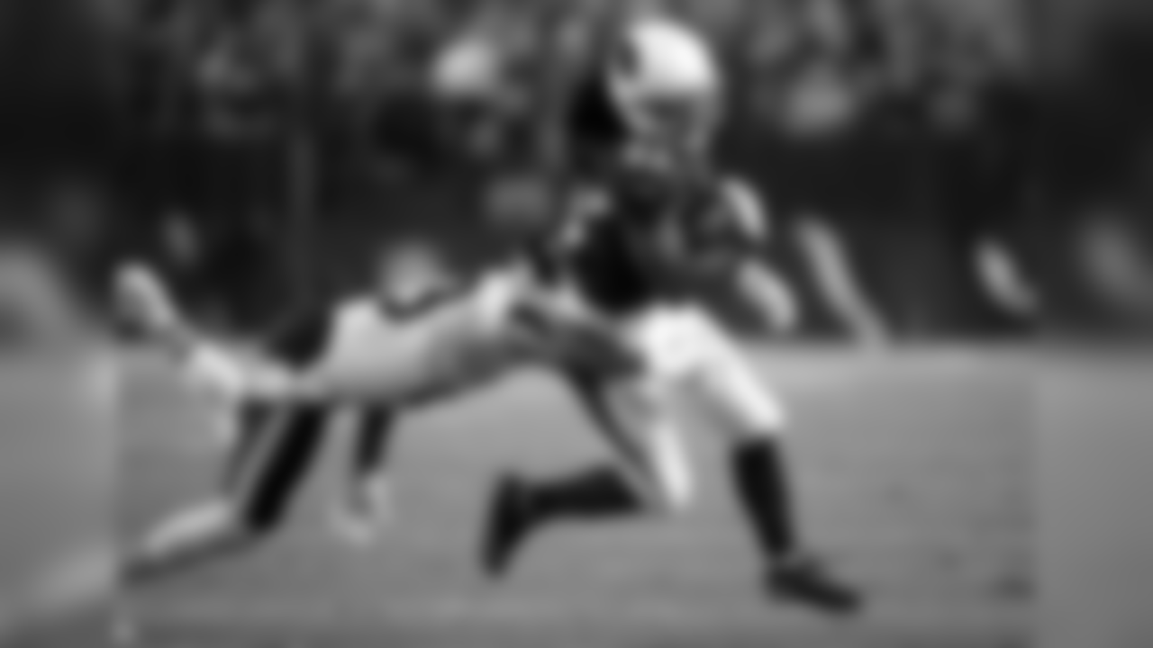 RB Chris Johnson runs through the Bears defender