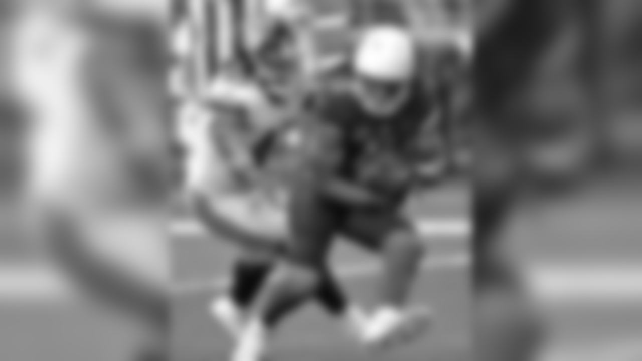 Cardinals WR Larry Fitzgerald makes the catch