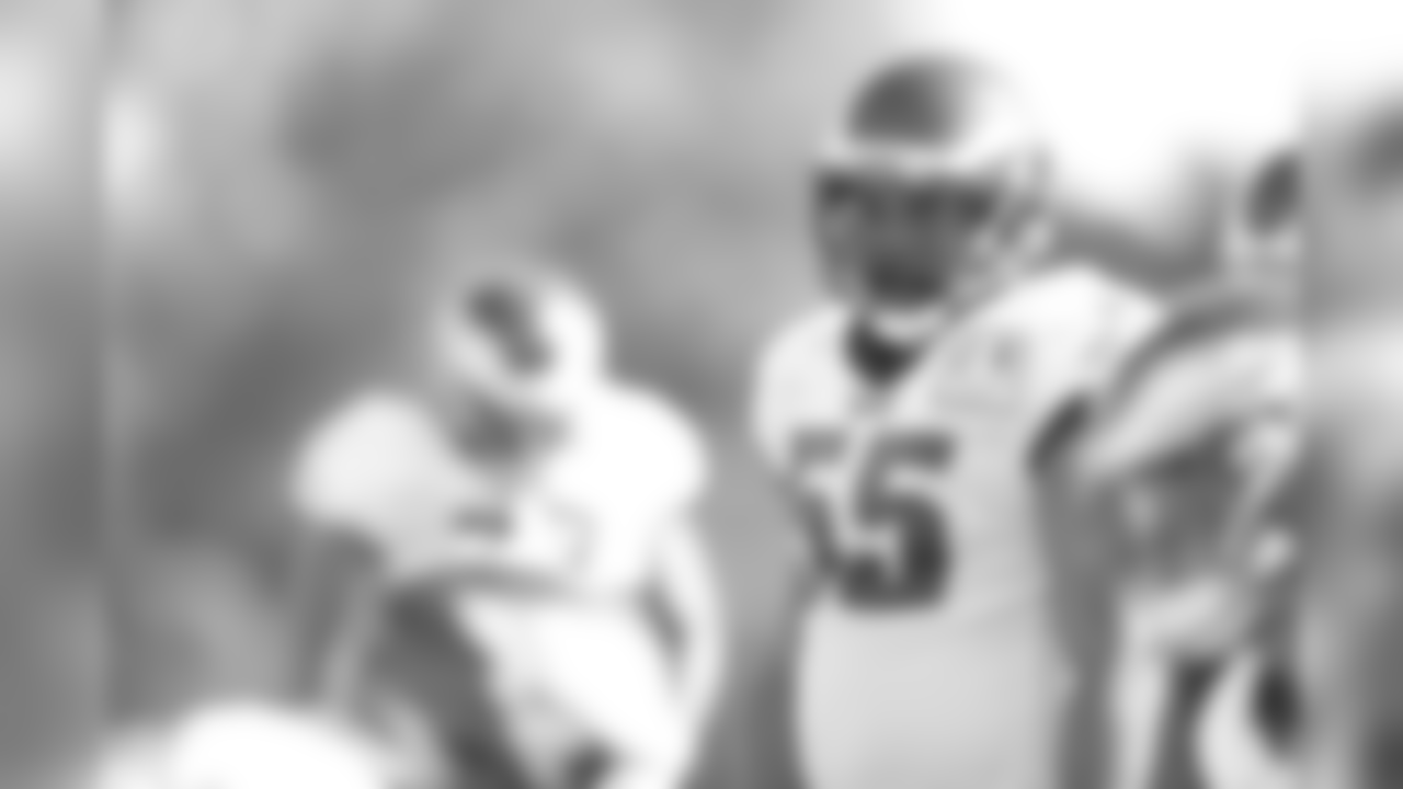DE Brandon Graham