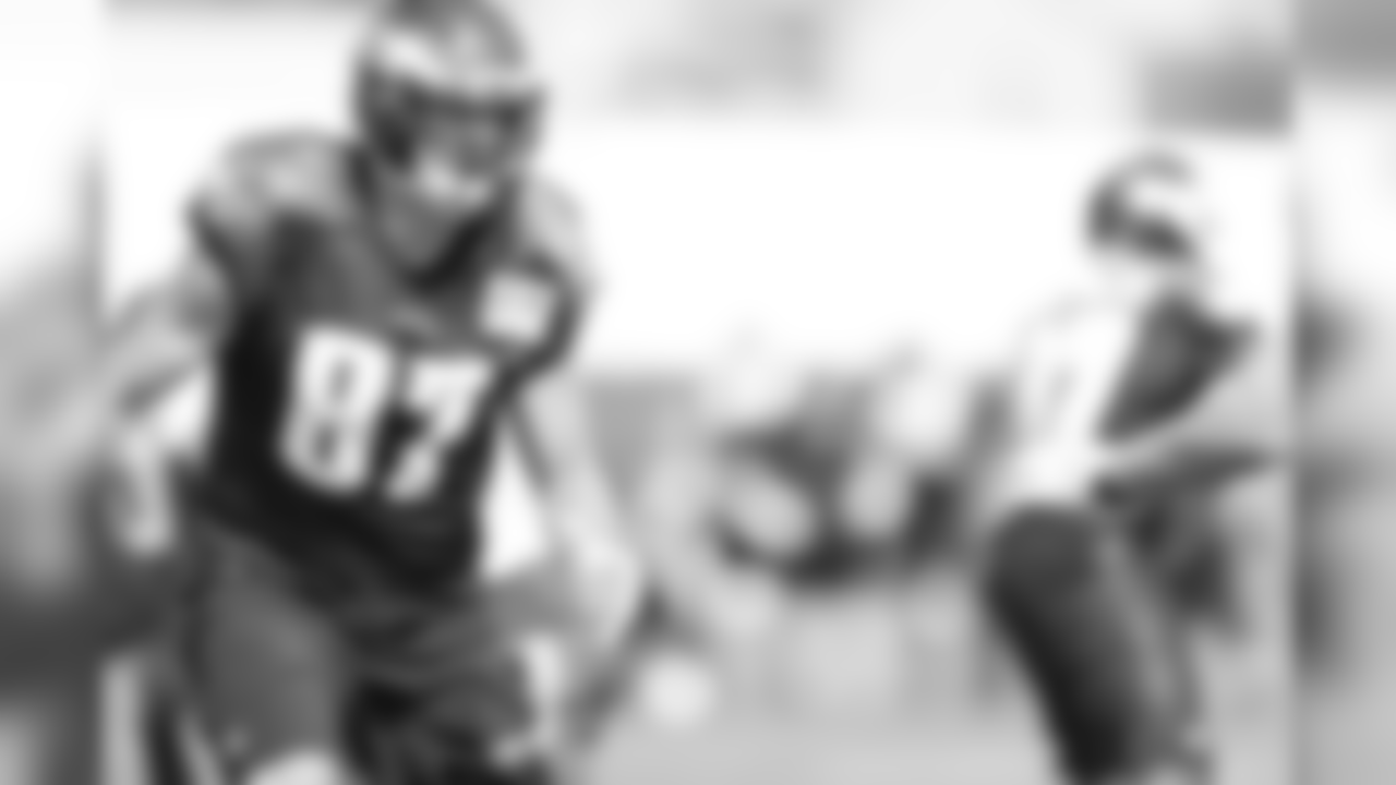 TE Brent Celek